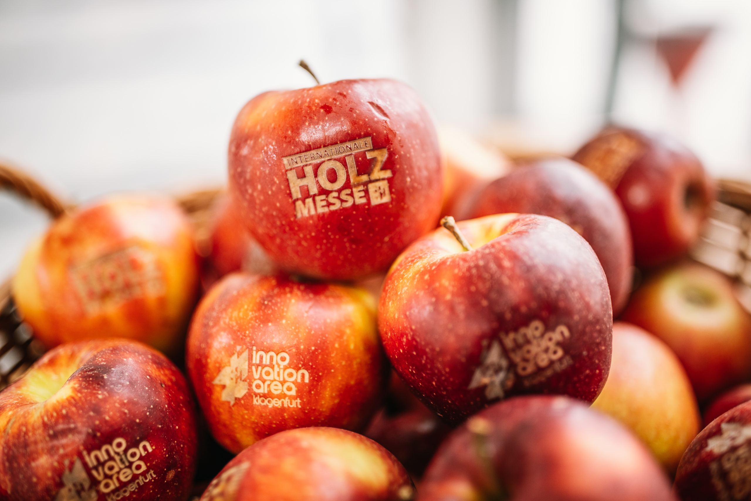Äpfel auf der Holz&Bau