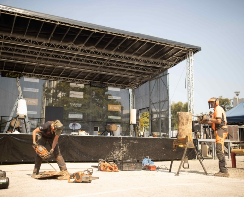 Internationale Holzmesse - Holz schneiden