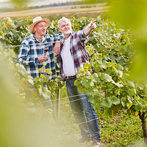 Intervino Weinmesse in Klagenfurt